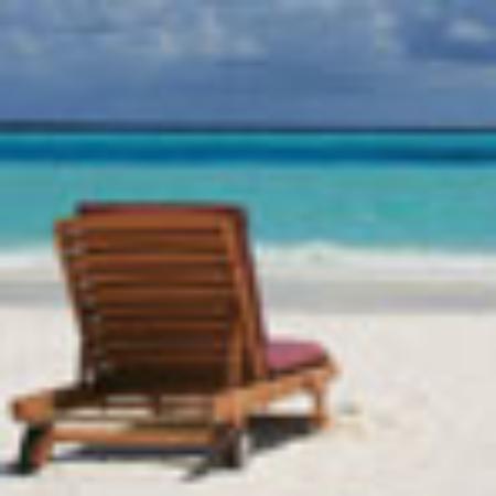 すき家 成田取香